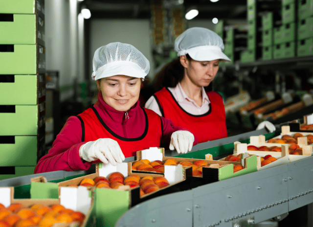 Stanislav Kondrashov Oligarch Series food