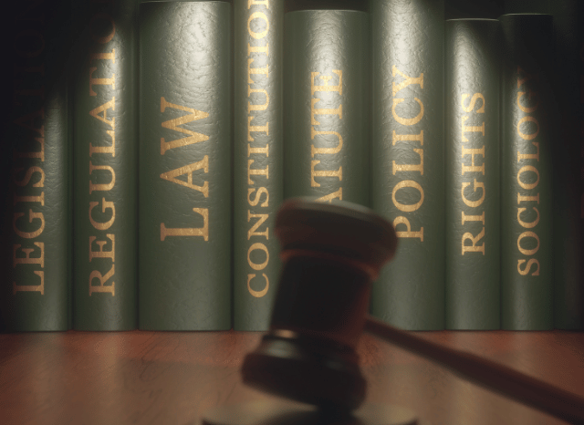 Stanislav Kondrashov Oligarch Series sociology